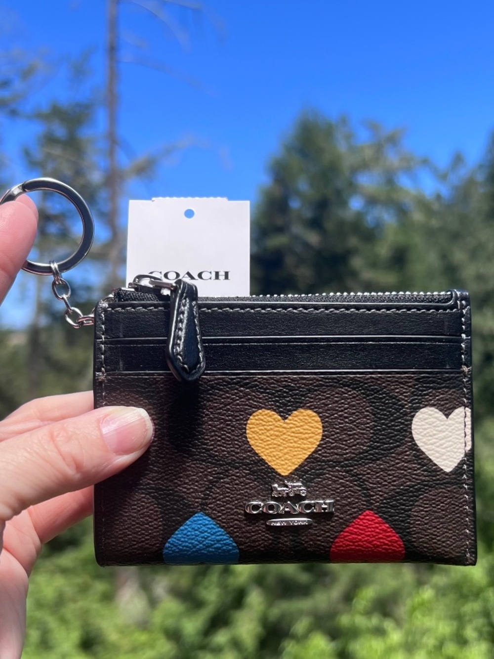 COACH Mini Skinny ID Case Key Chain Wallet Brown Signature Heart Print NWT